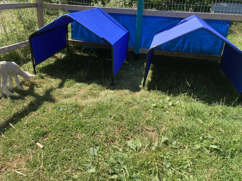 Photo - commentaire&nbsp;1.