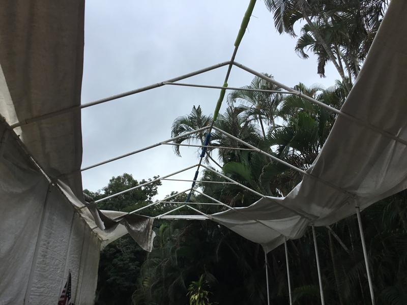 Photo - commentaire&nbsp;7.