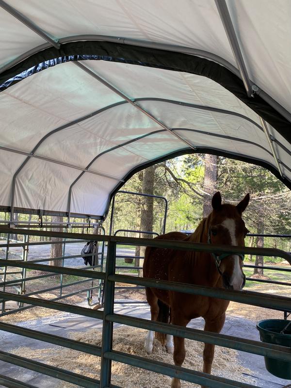 Photo - commentaire 2.