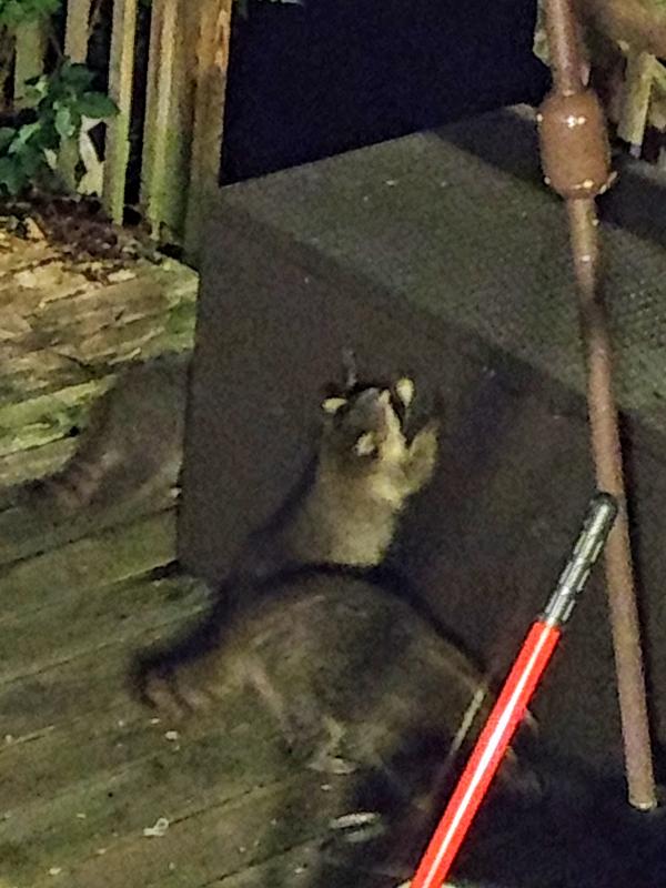 Do you see a way in?  Nope, how about you??