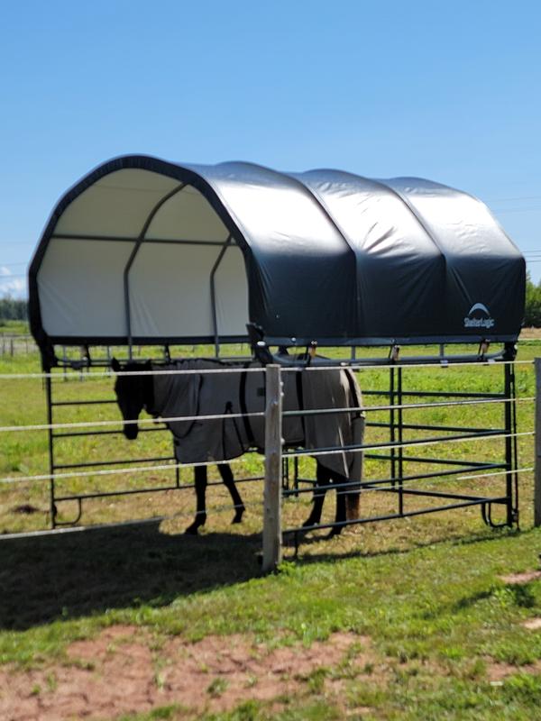 Photo - commentaire 3.