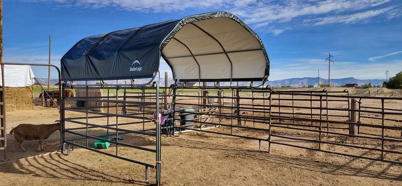 Photo - commentaire&nbsp;3.