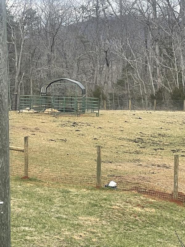 Photo - commentaire&nbsp;5.