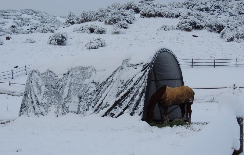 dry in the shelter :)