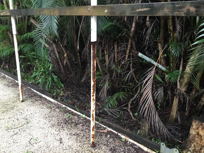 Photo - commentaire&nbsp;6.