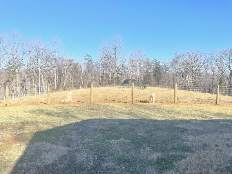 Photo - commentaire&nbsp;6.