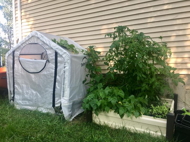 My little shed along side my raised bed garden