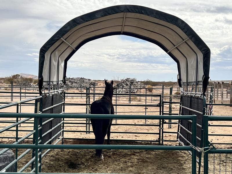 Photo - commentaire 5.