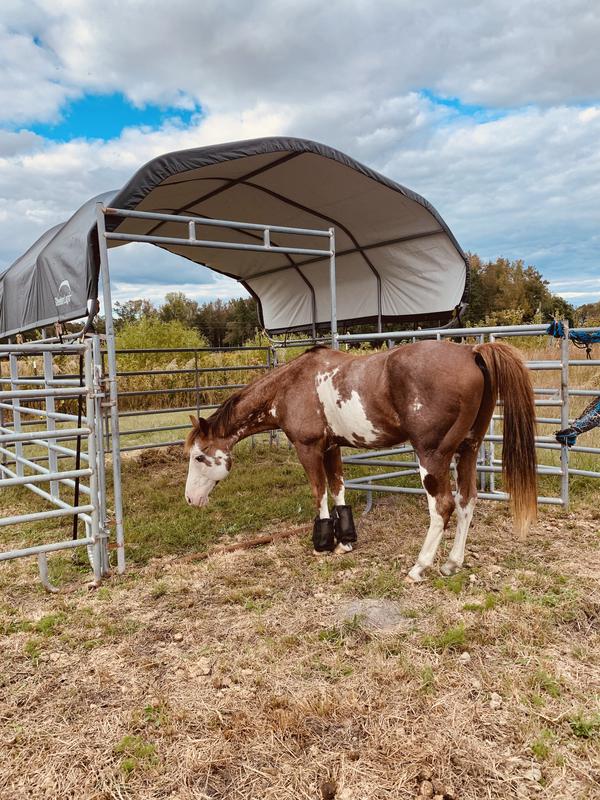 Photo - commentaire&nbsp;4.