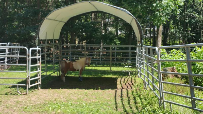 ShelterLogic Powder Coated Green Corral Shelter