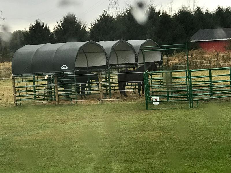 12 x 12 ft canvas shelter Shelterlogic 51523 Tanguay