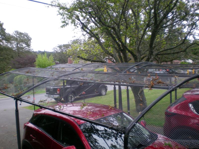 Photo - commentaire&nbsp;1.