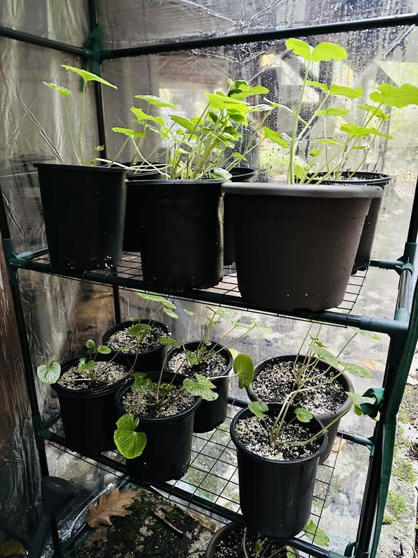 Photo - commentaire&nbsp;4.