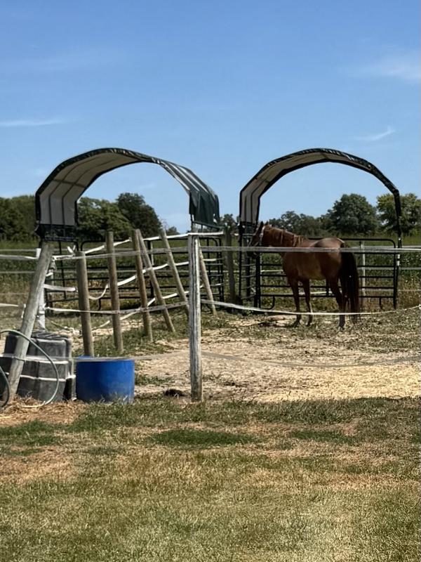 Photo - commentaire 1.