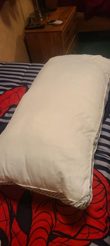 Sealy Extra Firm Support Pillow