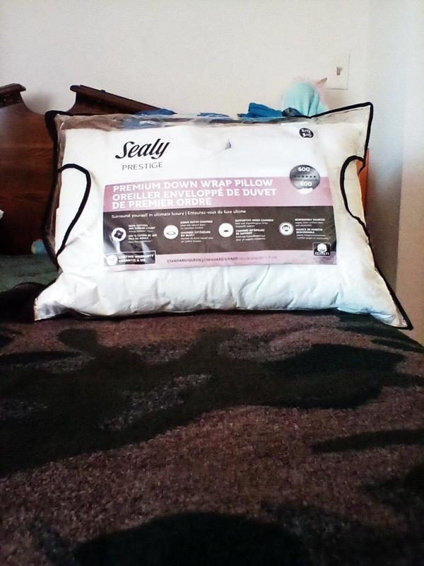 Sealy luxury best sale down adaptive pillow