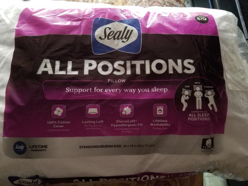 Sealy all hotsell positions pillow