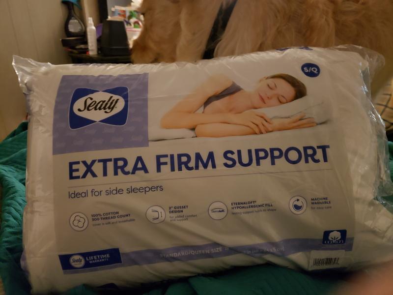 Sealy Side Sleeper Pillow