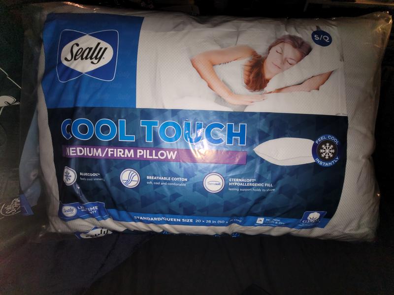 Sealy cool hot sale support pillow