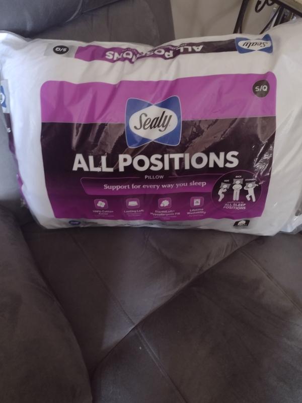 Sealy every position store pillow