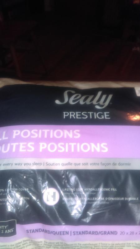 Sealy all positions clearance pillow