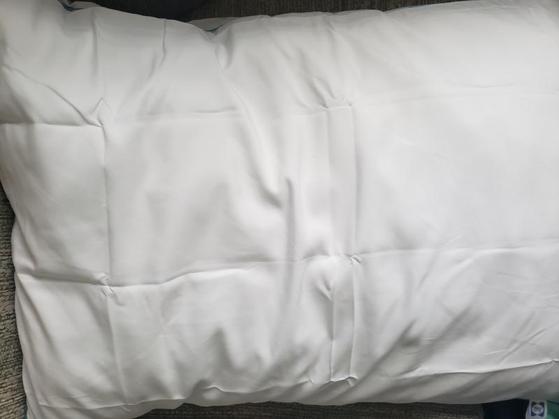 Sealy  Cool Comfort Pillow Protector