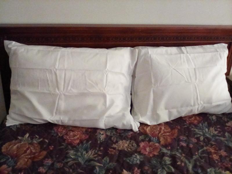 Style Selections Standard/Queen Polyester Pillow Protector in the Pillow  Protectors department at
