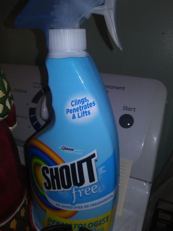  Shout Laundry Stain Remover Dye & Fragrance Free 22 oz