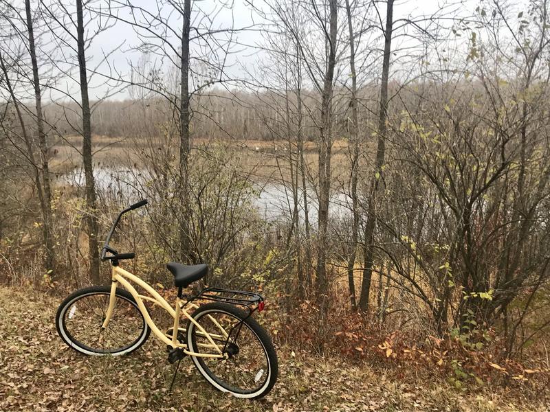 sixthreezero around the block women's single speed cruiser bicycle