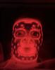 SILK'N LED-MASKER - LED FACE MASK 100