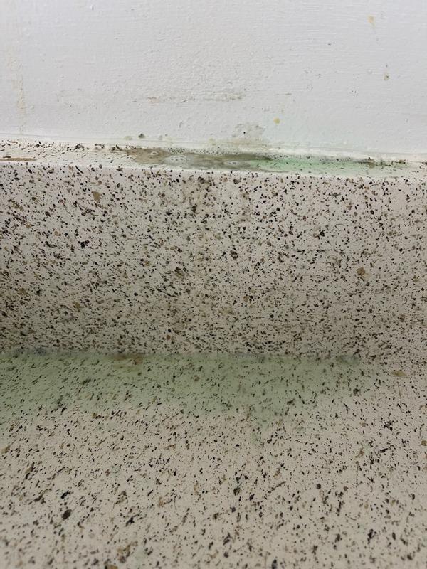 Photo - commentaire 2.