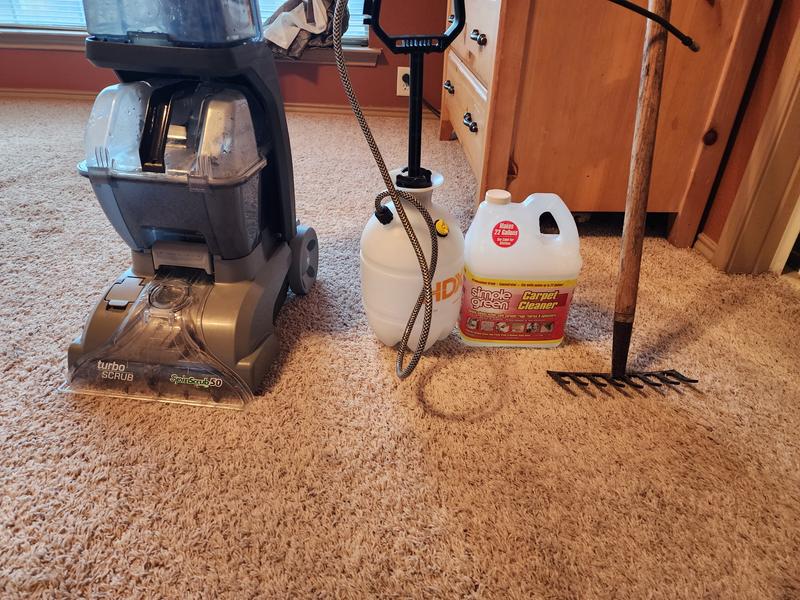 Everything needed for great carpet