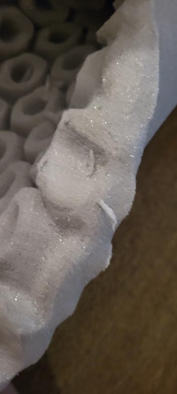 Little fuzzies you need to brush off