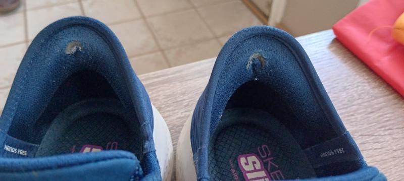 Didn't even wear these every day and they tore. The fabric in my other Skechers shoes of 5+ years is still intact. It's a shame.