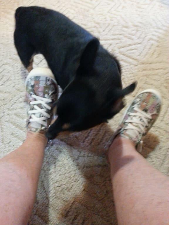 P-Nut likes 'em, too!