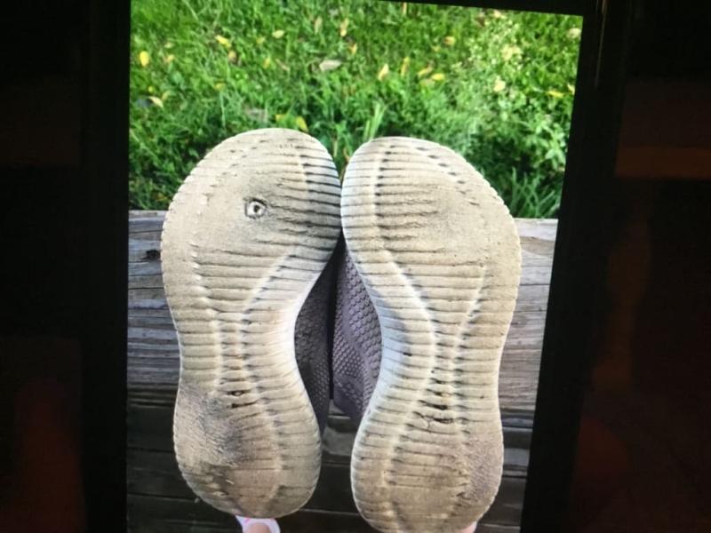 395 of walking my dog!