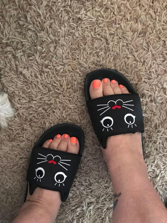 Bobs cat slides best sale