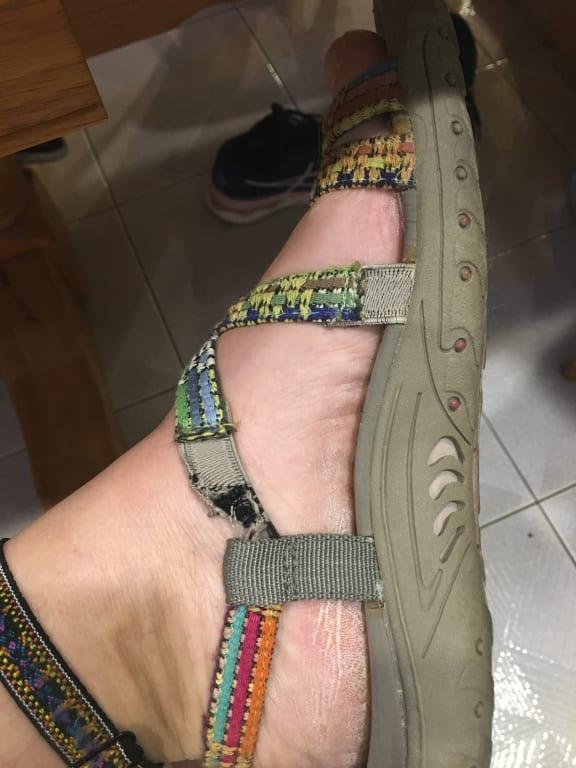 brought in august, broke in may