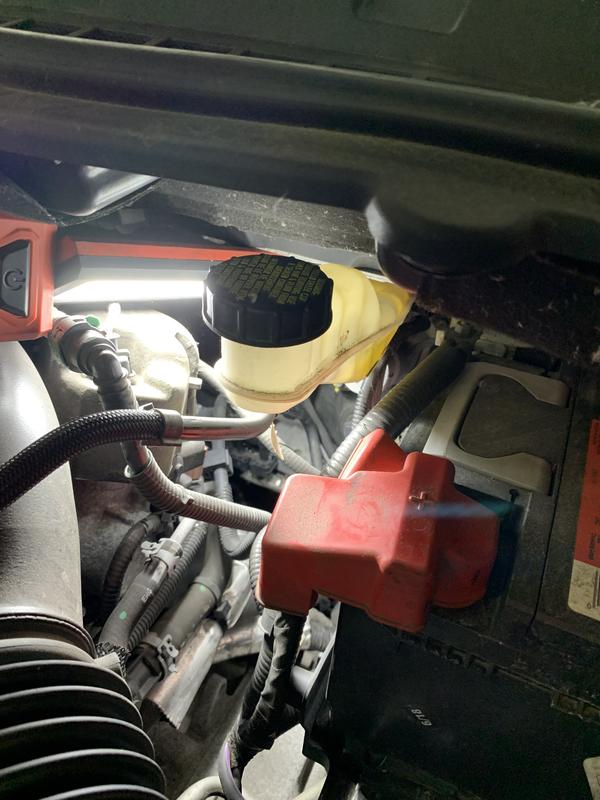 Fluid Tank Backlight