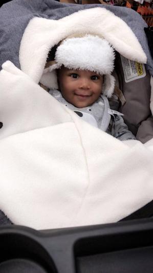 Skip Hop Stroll Go Car Seat Cover Macy s