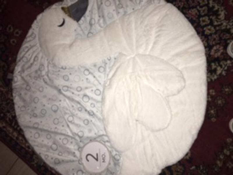 Swan play mat