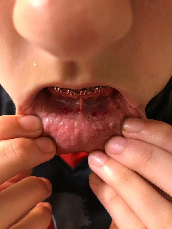 Photo submitted with review of product