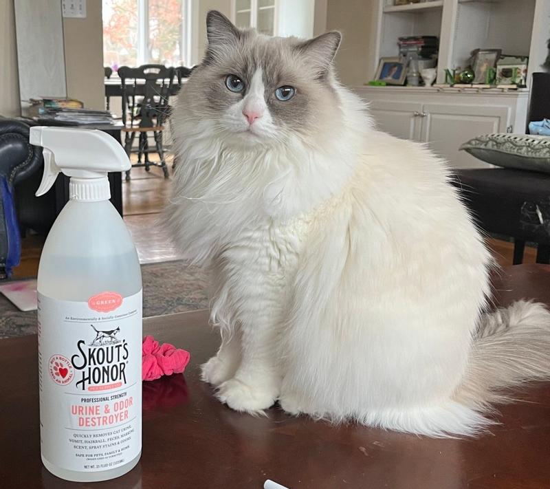 Skout's Honor Urine & Odor Destroyer for Cats, 35 fl. oz. | Petco