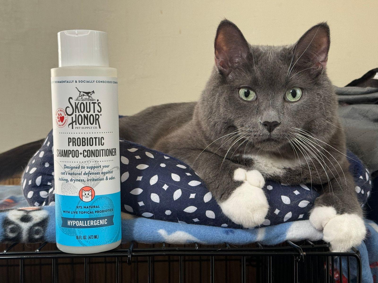 Skout's Honor Cat Probiotic Shampoo+Conditioner Fragrance Free