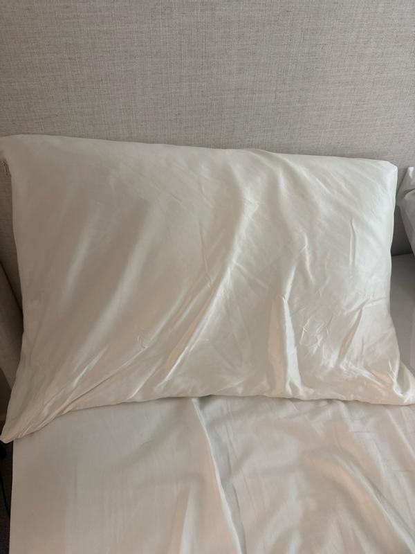 Customer carousel item 2.