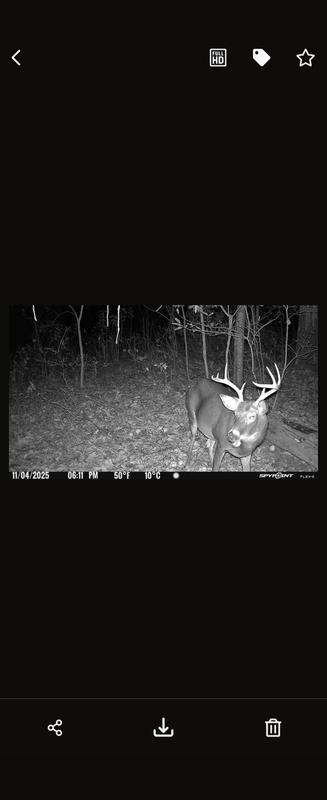 Photo - commentaire&nbsp;4.