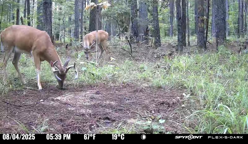 Photo - commentaire&nbsp;1.