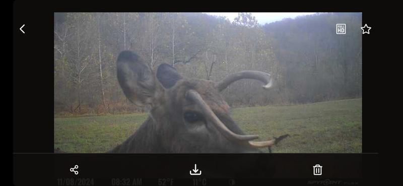 Photo - commentaire&nbsp;1.