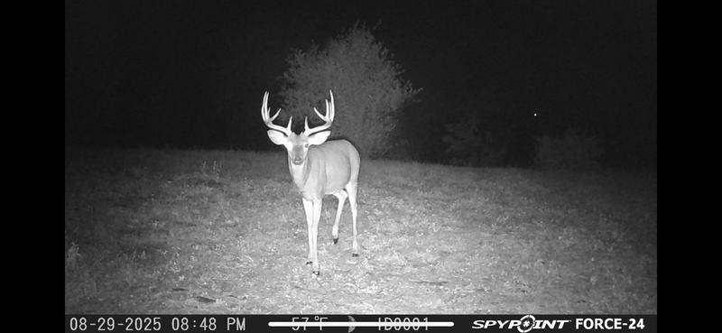 One of my target bucks this season