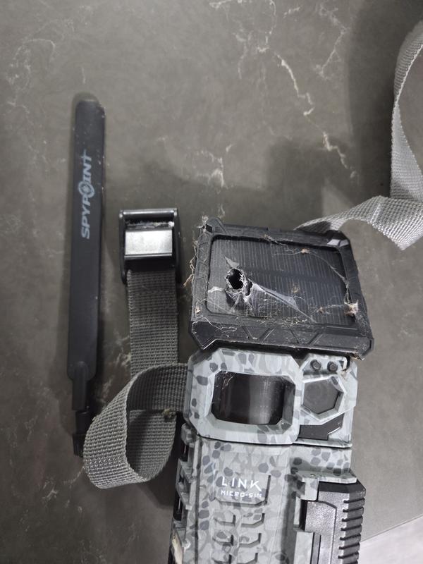 Photo - commentaire&nbsp;3.